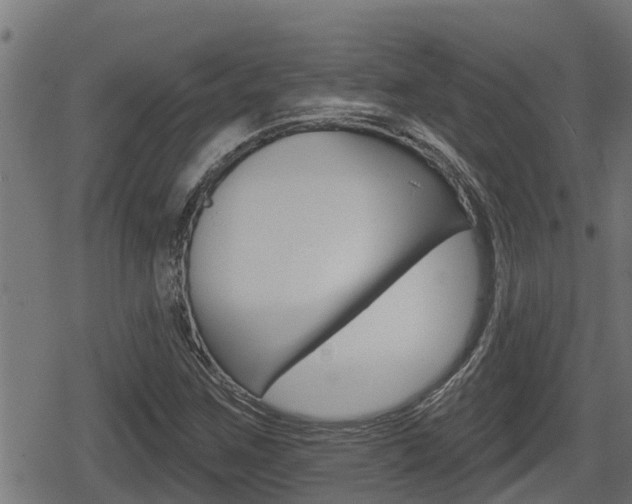 X0000078891259200611131021