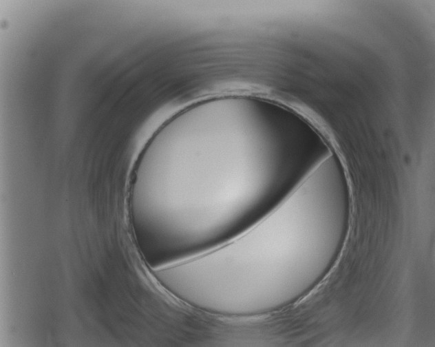 X0000078891296200611131020