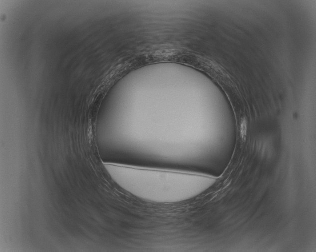 X0000078891299200611131020