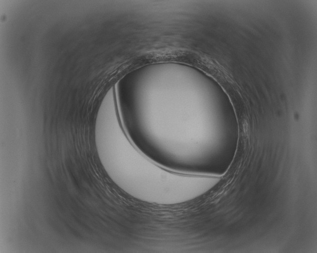 X0000078891300200611131020