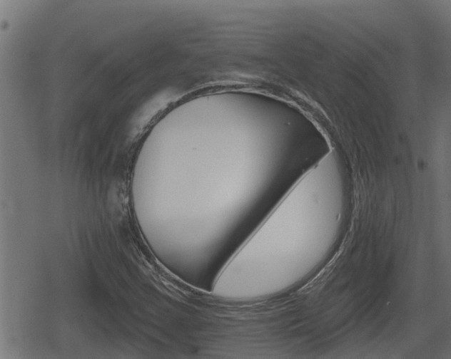 X0000078891355200611131019