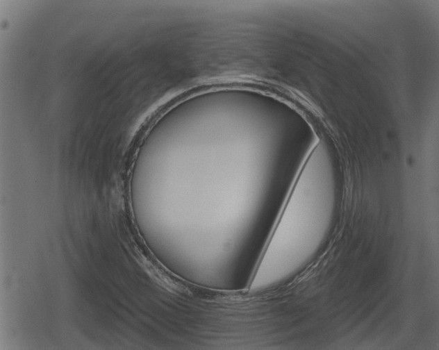 X0000078891356200611131019