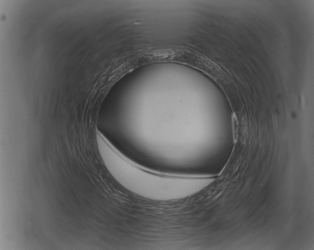 X0000078891394200611131018