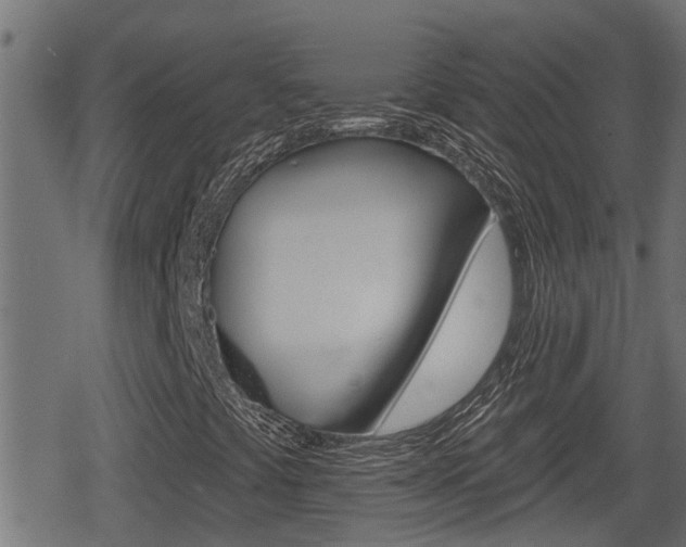 X0000078891441200611131018