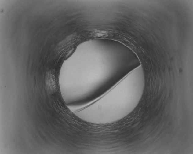 X0000078891442200611131018