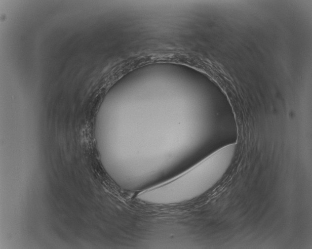 X0000078891445200611131018