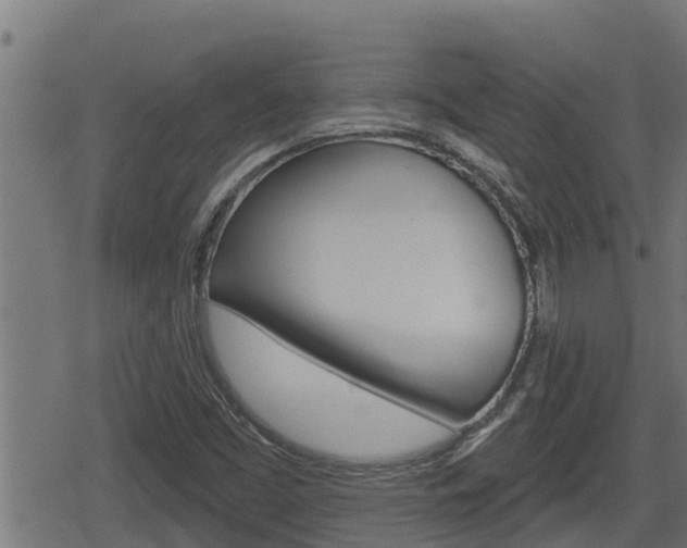 X0000078891453200611131018