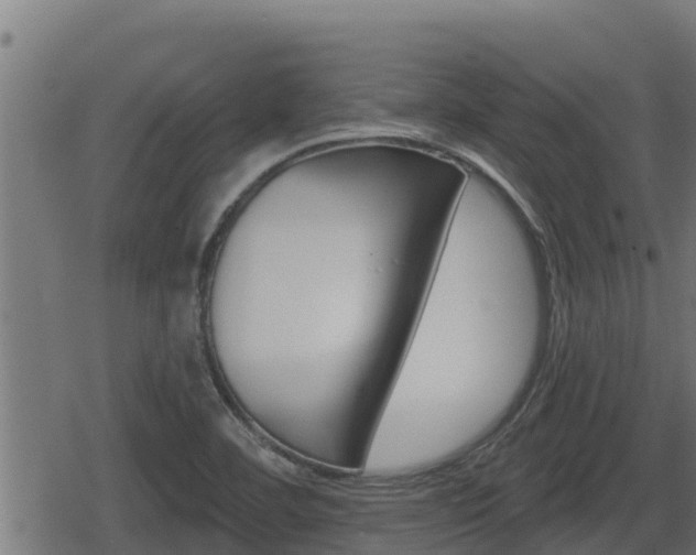 X0000078891460200611131018
