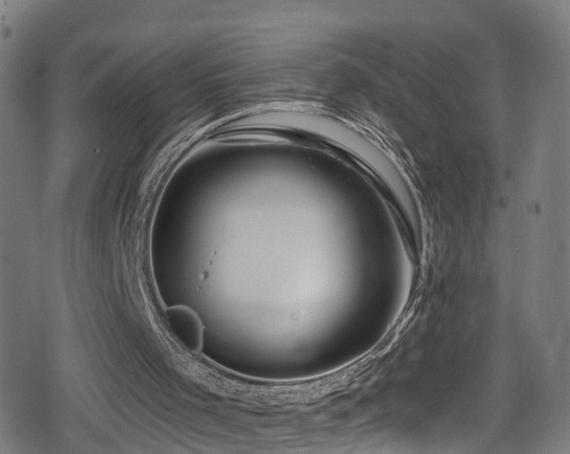 X0000078890001200611131241