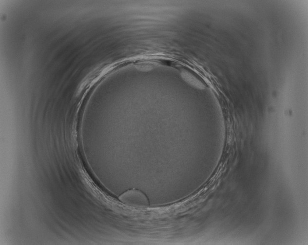 X0000078890002200611131241