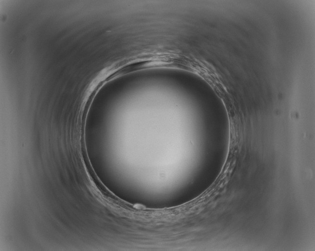 X0000078890003200611131241