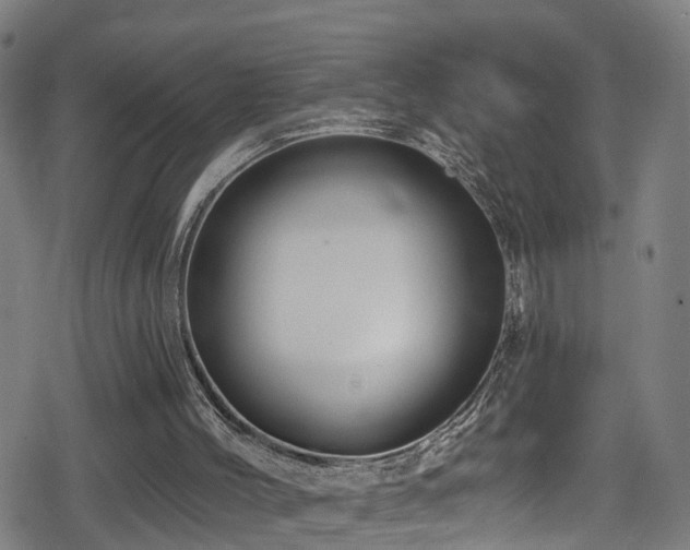 X0000078890004200611131241