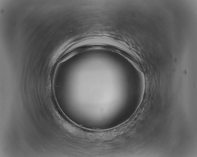 X0000078890005200611131241