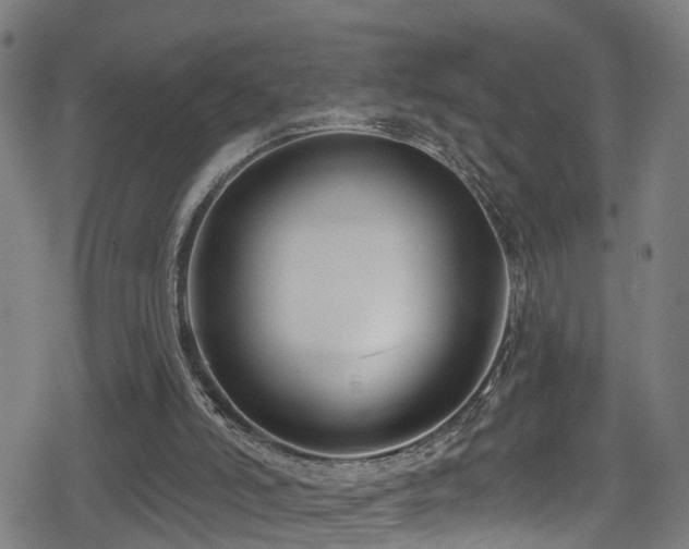 X0000078890006200611131241