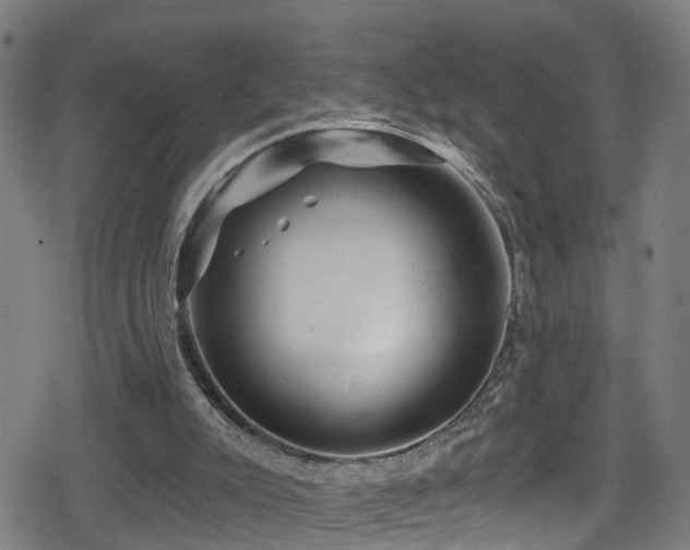 X0000078890007200611131241