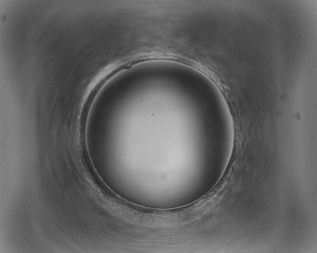 X0000078890008200611131241