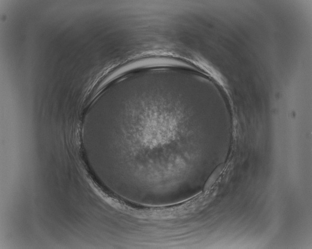 X0000078890009200611131241