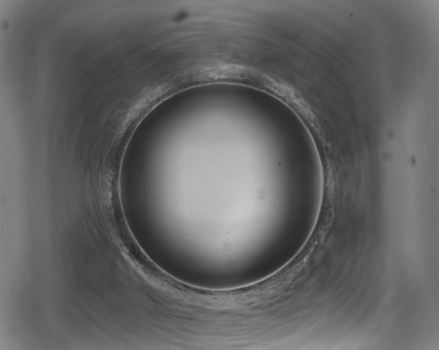 X0000078890010200611131241