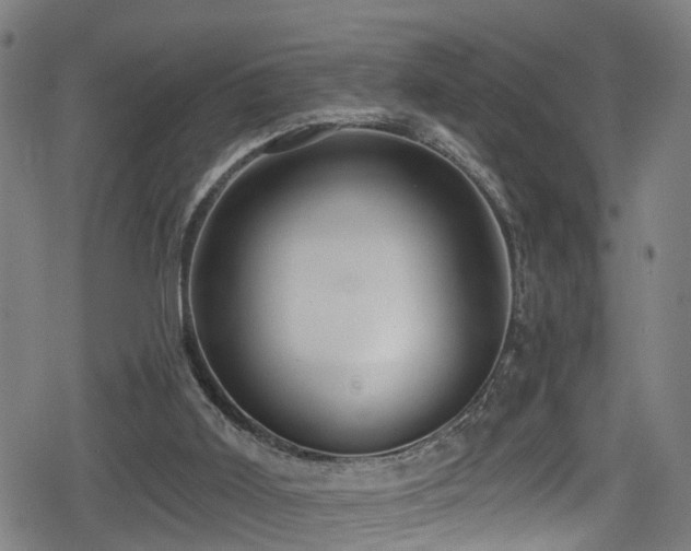 X0000078890011200611131241