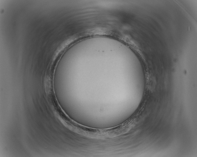 X0000078890012200611131241