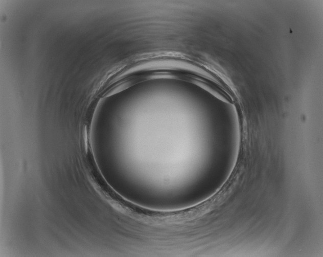 X0000078890013200611131241