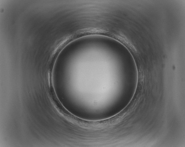 X0000078890014200611131241