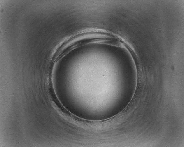 X0000078890015200611131241