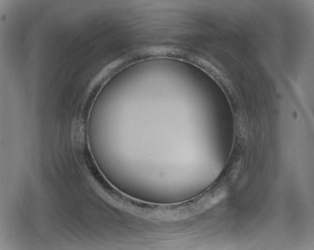 X0000078890016200611131241