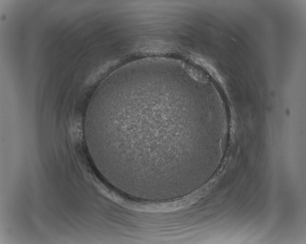 X0000078890017200611131241