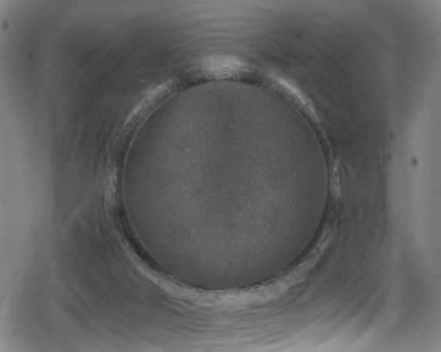 X0000078890018200611131241