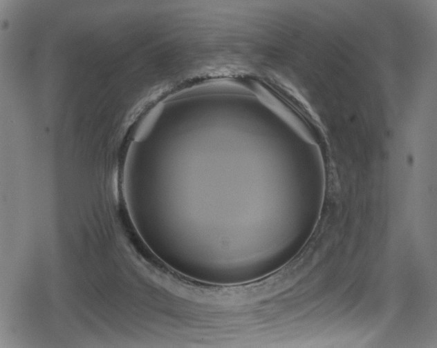 X0000078890019200611131241