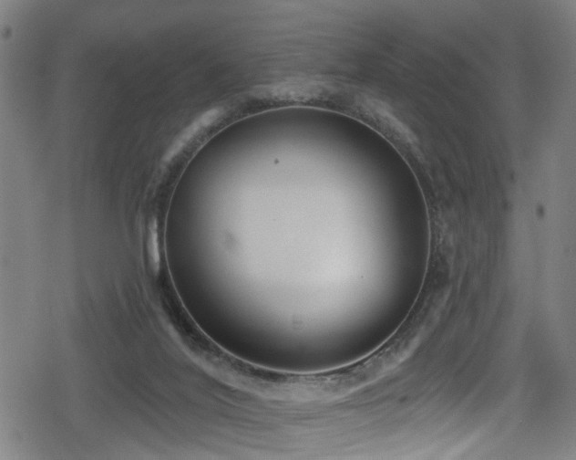 X0000078890020200611131241