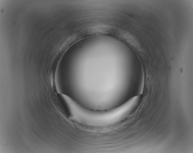 X0000078890021200611131241