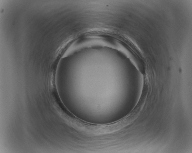 X0000078890023200611131241