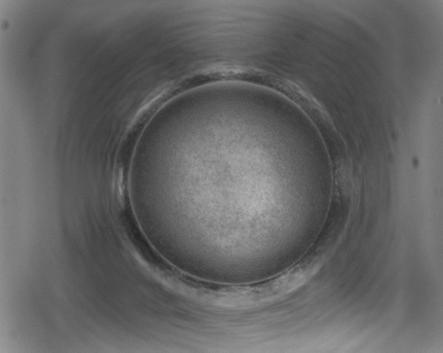 X0000078890024200611131241