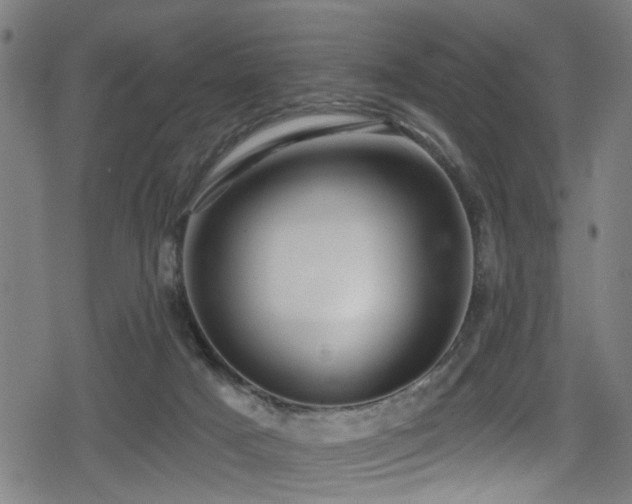 X0000078890025200611131241