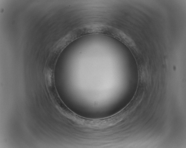 X0000078890026200611131241