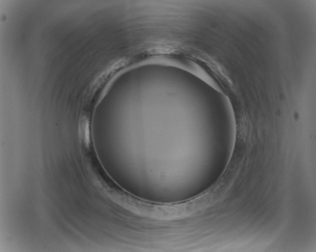 X0000078890027200611131241