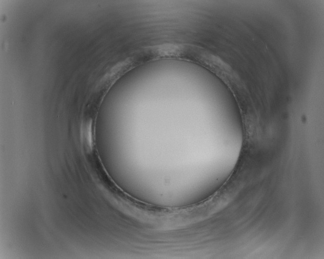 X0000078890028200611131241