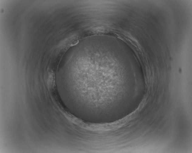 X0000078890029200611131241