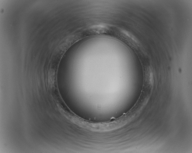 X0000078890030200611131241