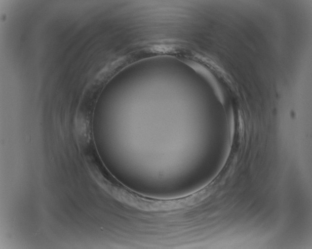 X0000078890031200611131241