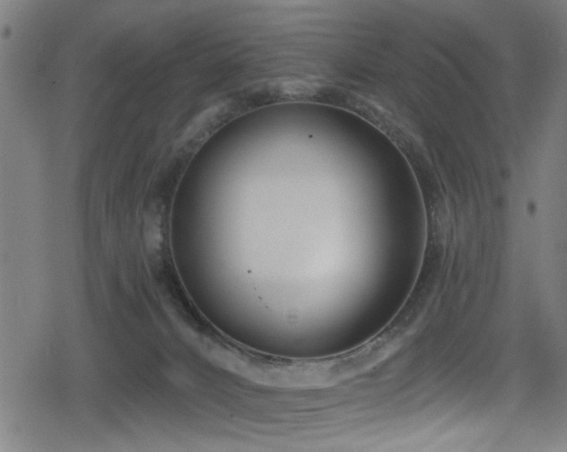 X0000078890032200611131241