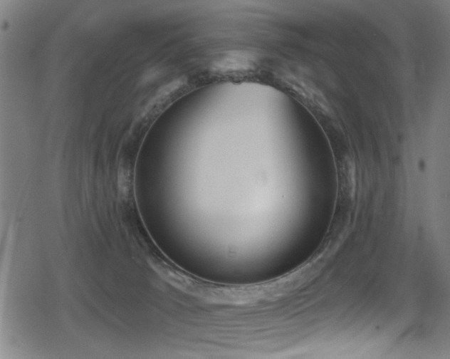 X0000078890033200611131241