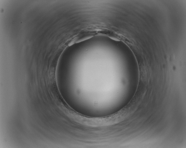 X0000078890034200611131241