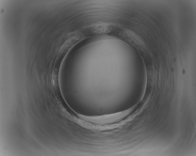 X0000078890035200611131241