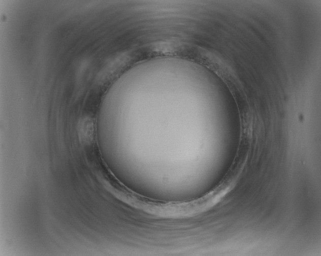 X0000078890036200611131241