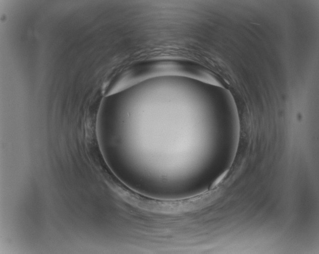 X0000078890037200611131241