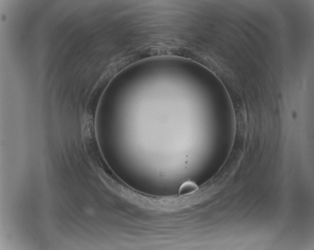 X0000078890038200611131241