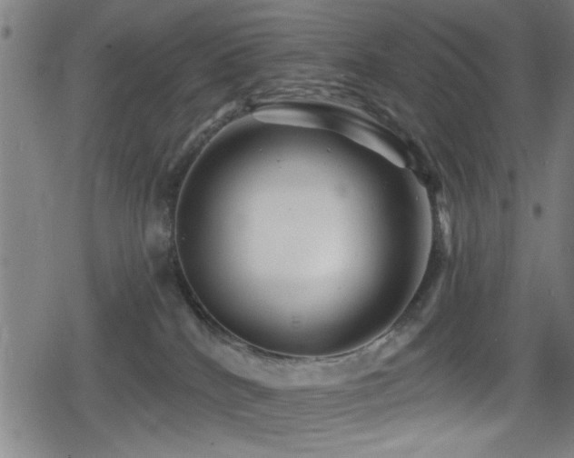 X0000078890040200611131241